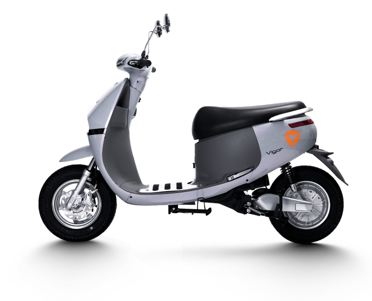Virgo Grey Virgo Grey